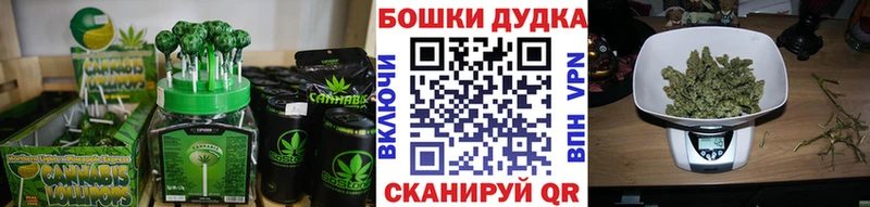 Canna-Cookies конопля  где продают   Озёры 