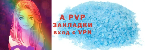 PSILOCYBIN Гусев