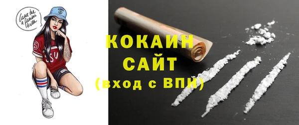 кокс Гусь-Хрустальный