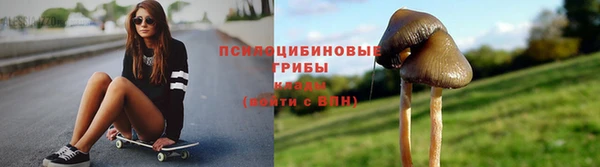 кокс Гусь-Хрустальный