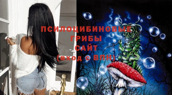 PSILOCYBIN Гусев